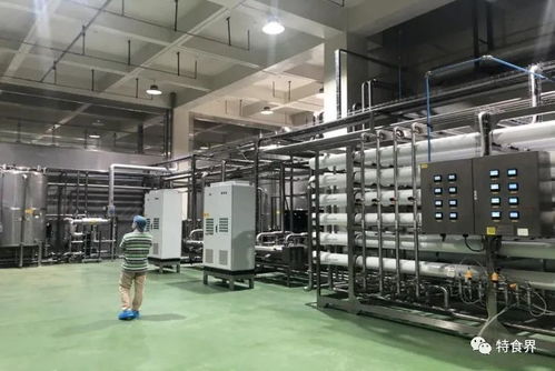 廣東實現(xiàn)保健食品生產(chǎn)企業(yè)體系檢查全覆蓋，數(shù)據(jù)處理服務(wù)助力精準監(jiān)管